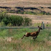 Review photo of Escure Ranch / Rock Creek Recreation Area by Overland S., July 15, 2024