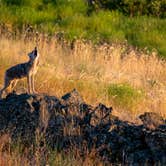 Review photo of Escure Ranch / Rock Creek Recreation Area by Overland S., July 15, 2024