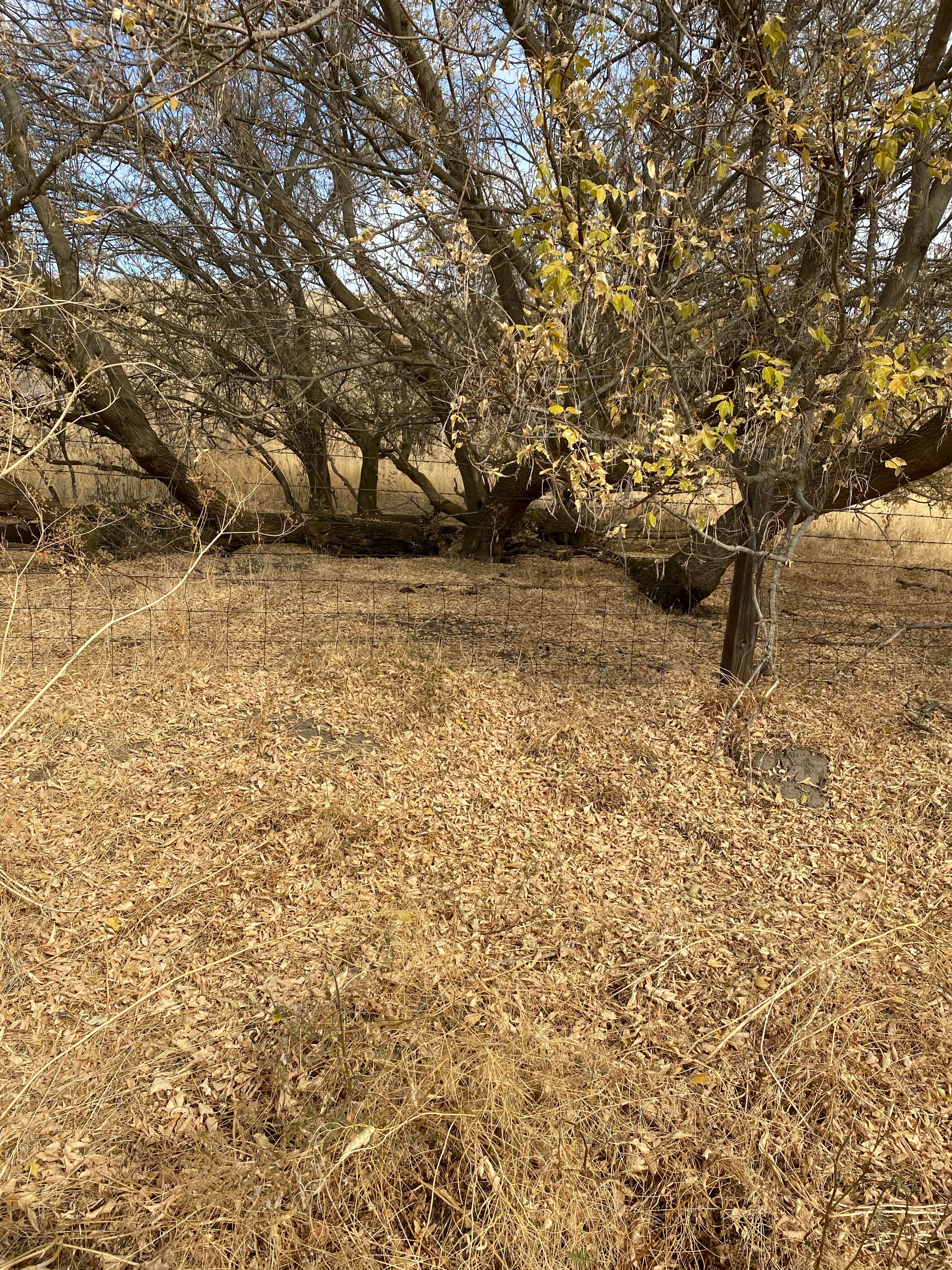 Camper-submitted photo at Escure Ranch / Rock Creek Recreation Area near Potlatch, ID