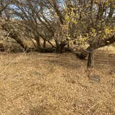 Review photo of Escure Ranch / Rock Creek Recreation Area by Tyler B., October 12, 2024