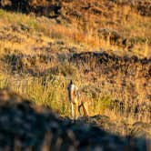 Review photo of Escure Ranch / Rock Creek Recreation Area by Overland S., July 15, 2024