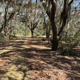 Review photo of Etoniah Creek State Forest by Brian K., February 26, 2024