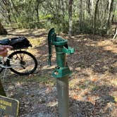 Review photo of Etoniah Creek State Forest by Brian K., February 26, 2024