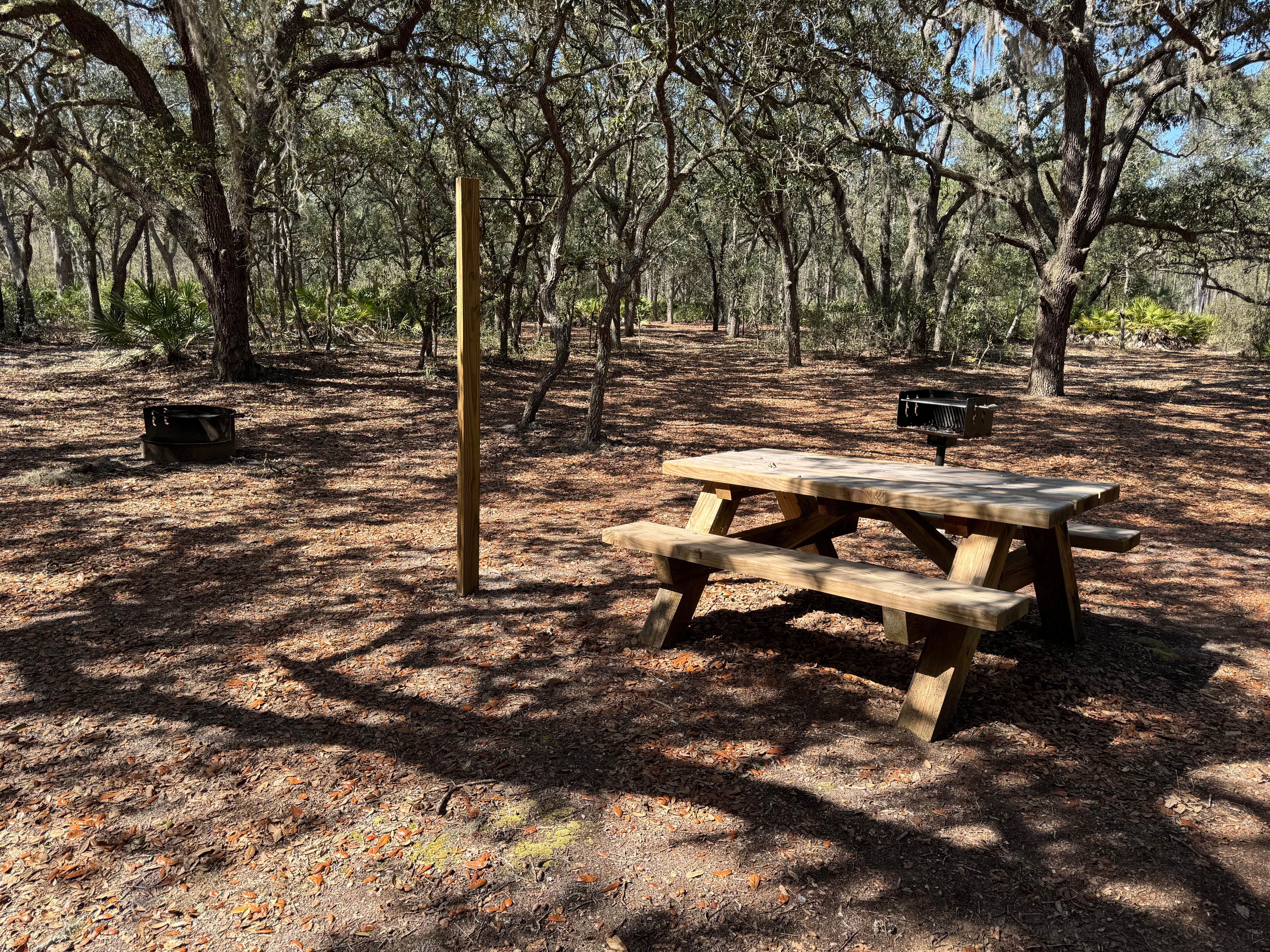 Camper-submitted photo at Etoniah Creek State Forest Green Camp near Bunnell, FL