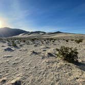 Review photo of Eureka Dunes Primitive Campground — Death Valley National Park by Theodore S., March 16, 2026