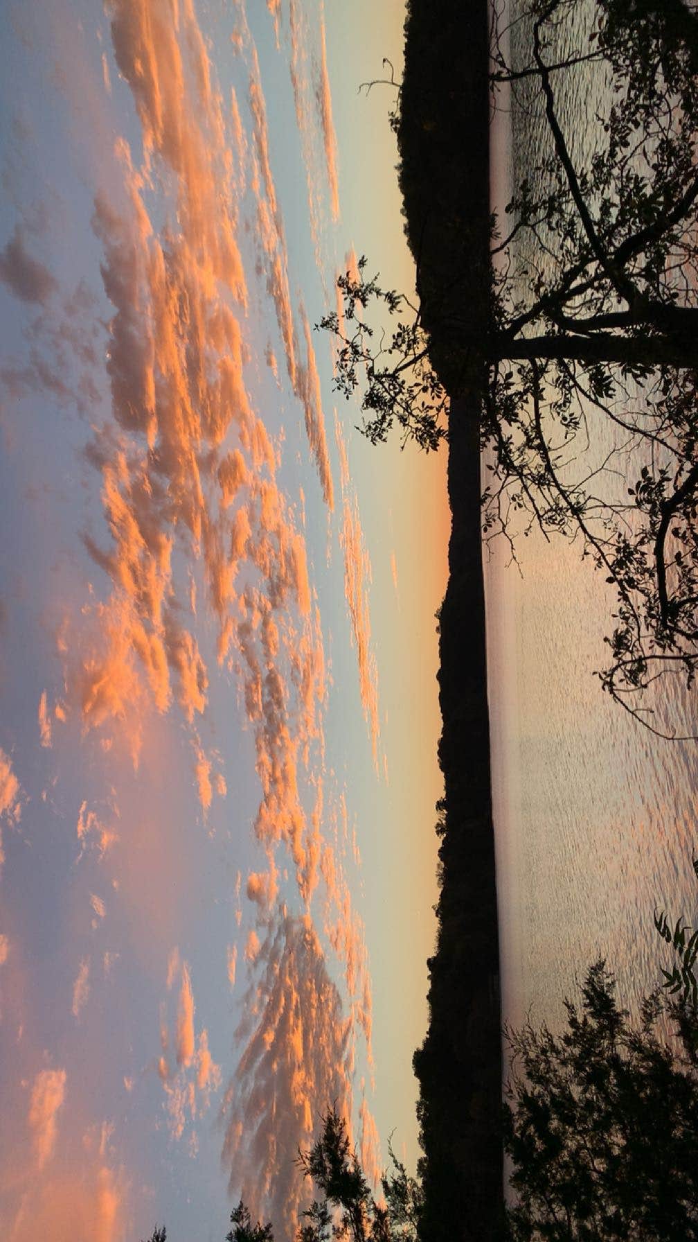 Camper-submitted photo at Evans Loop Backcountry Site — Tims Ford State Park near Tullahoma, TN