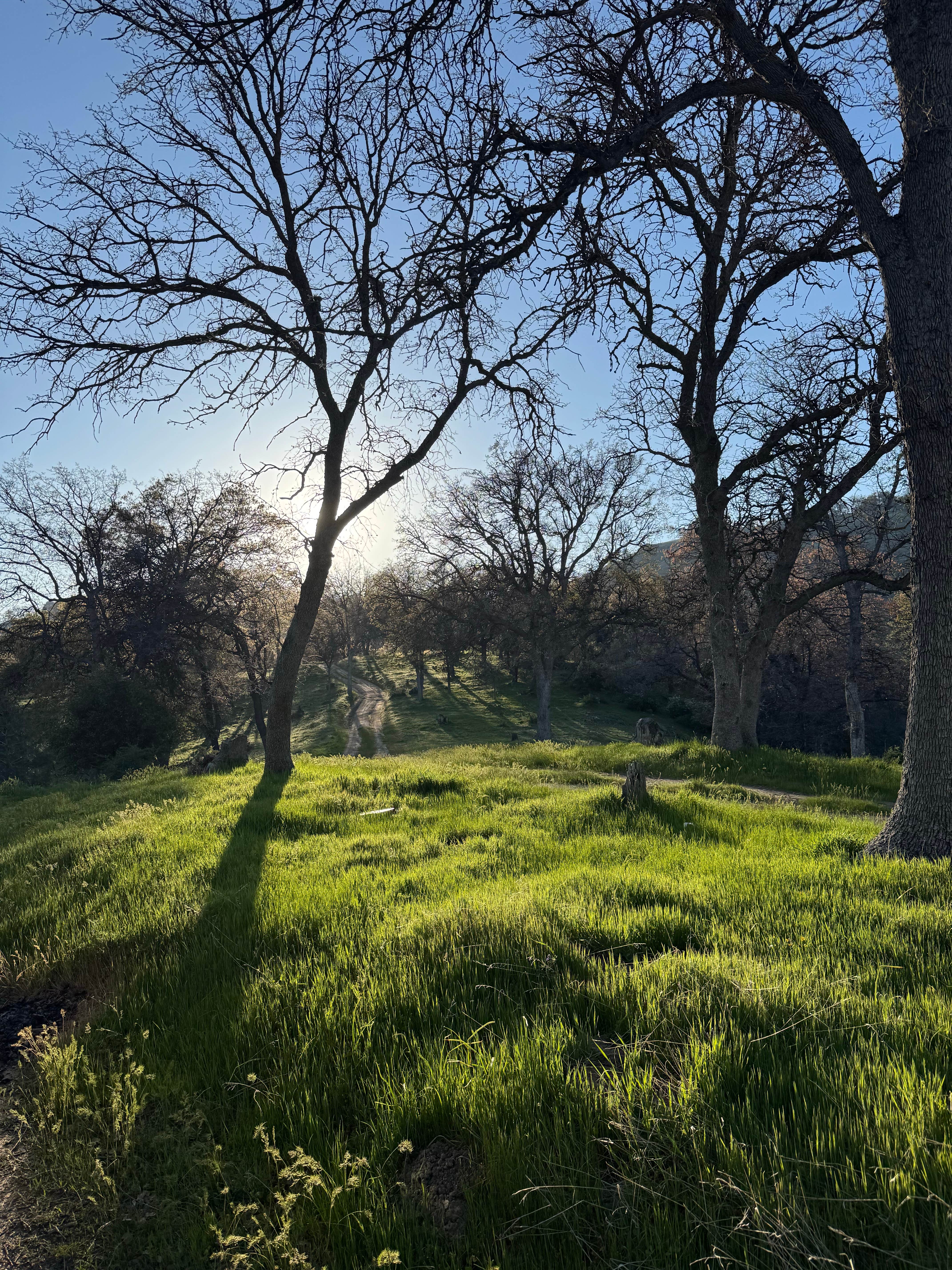 Camper-submitted photo at Evans Road Hidden Camp near Weldon, CA