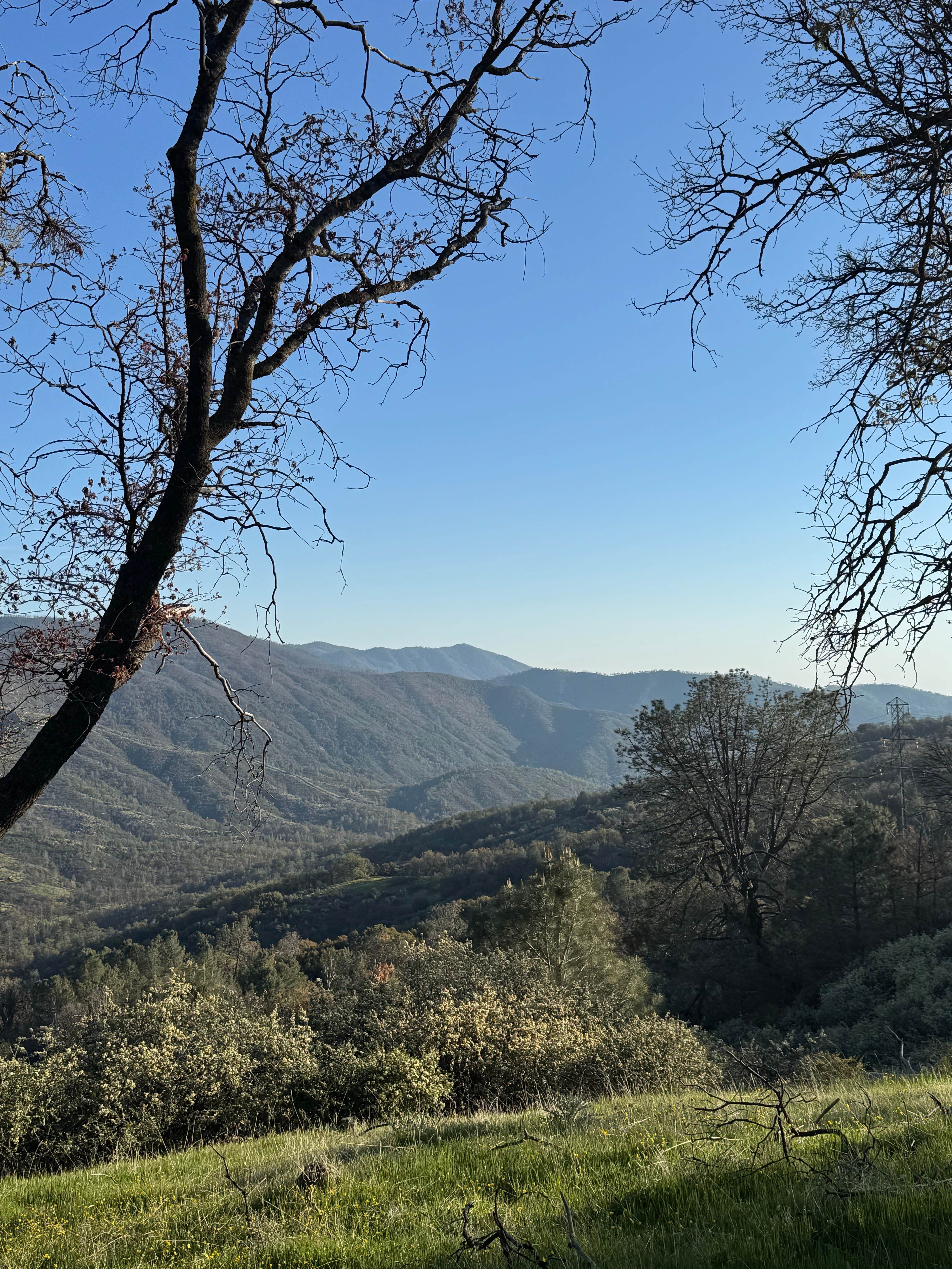 Camping near Keyesville Recreation Area Dispersed: Evans Road Hidden Camp, Glennville, California