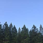 Review photo of Evergreen Rd Dispersed camping by Sebastian D., July 2, 2026
