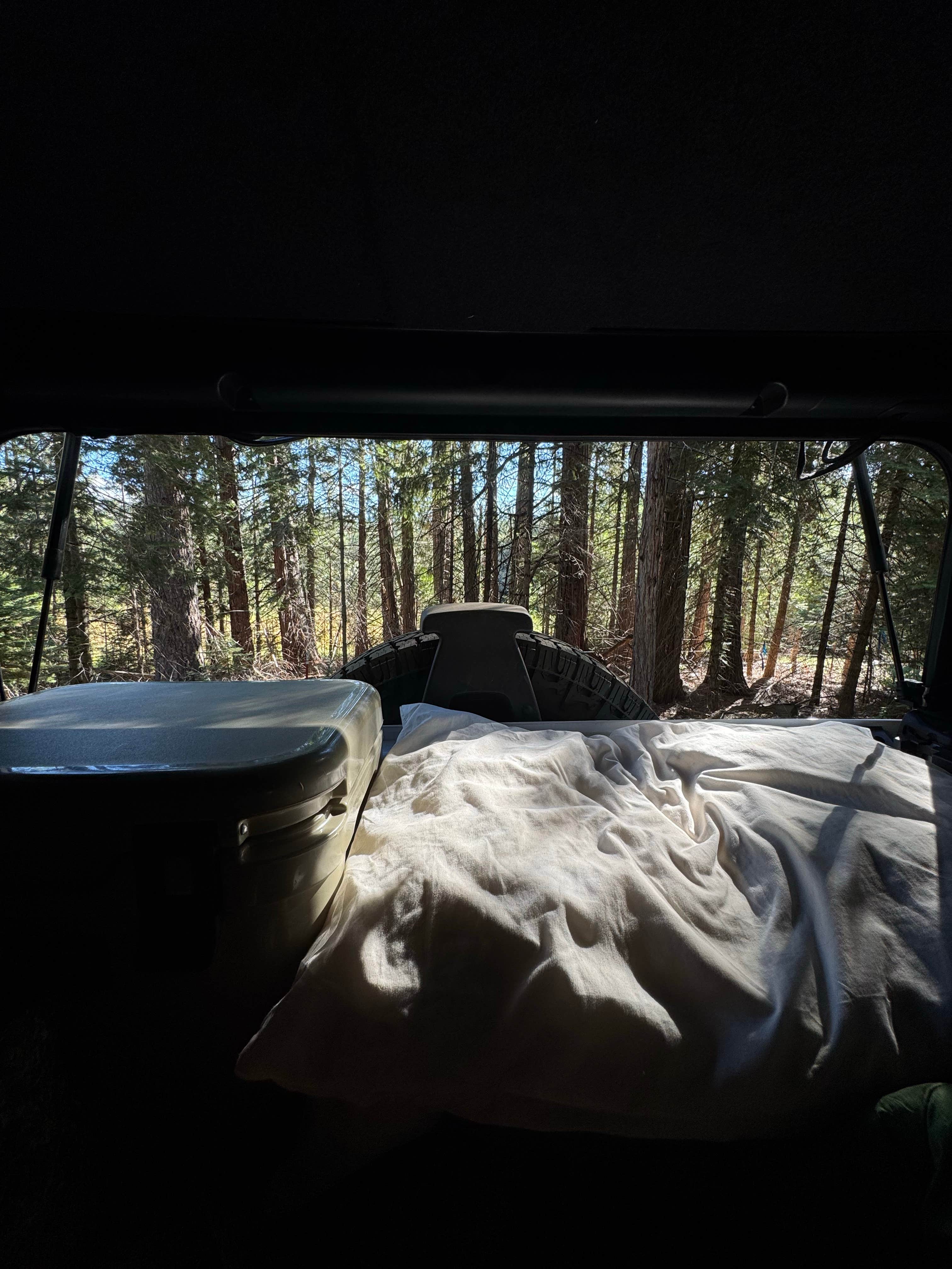 Camper-submitted photo at Evergreen Rd Dispersed camping near Mather, CA