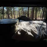 Review photo of Evergreen Rd Dispersed camping by Maddie A., July 3, 2026