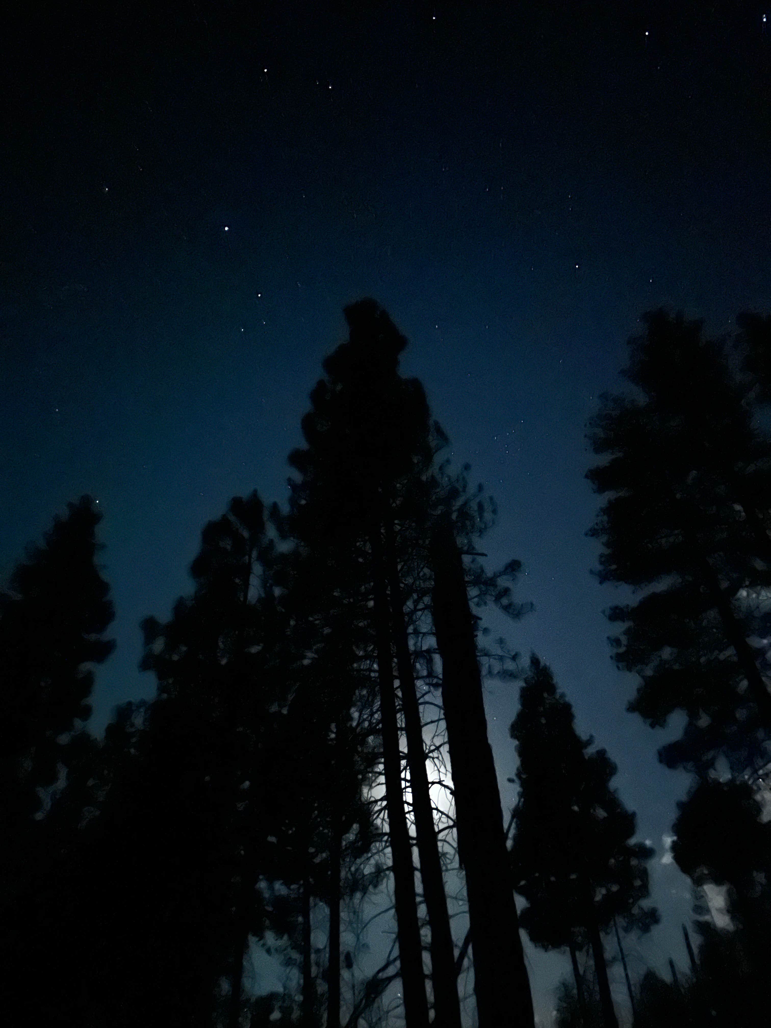 Camper-submitted photo at Evergreen Rd Dispersed camping near Merced, CA