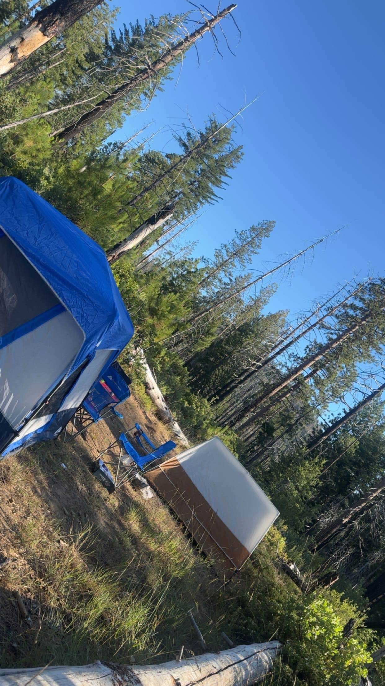 mason M.'s photo of a dispersed camping area at Evergreen Rd Dispersed camping near Fort Jones, CA