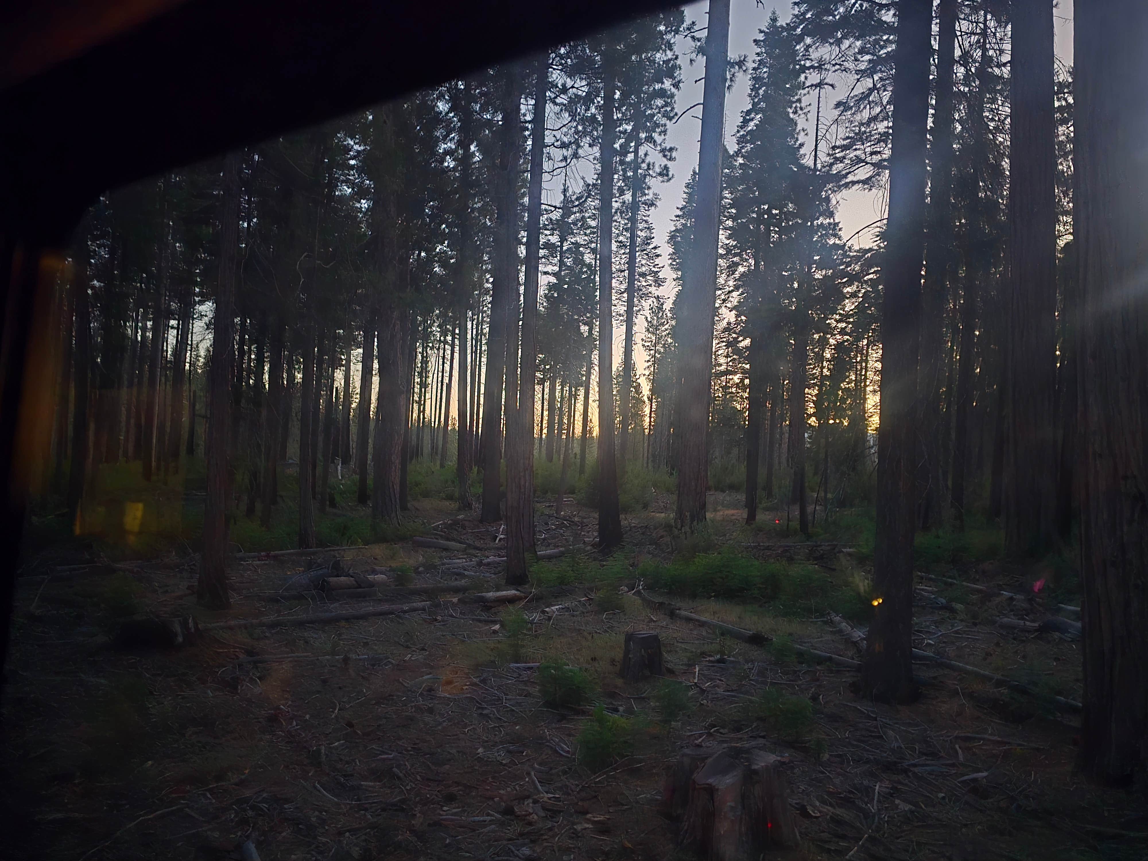 Camper-submitted photo at Evergreen Rd Dispersed camping near Merced, CA