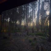 Review photo of Evergreen Rd Dispersed camping by Melissa M., July 21, 2025