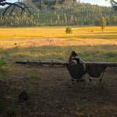 Review photo of Evergreen Rd Dispersed camping by Sebastian D., July 2, 2026