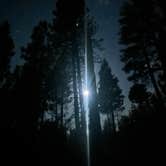 Review photo of Evergreen Rd Dispersed camping by mason M., July 2, 2025