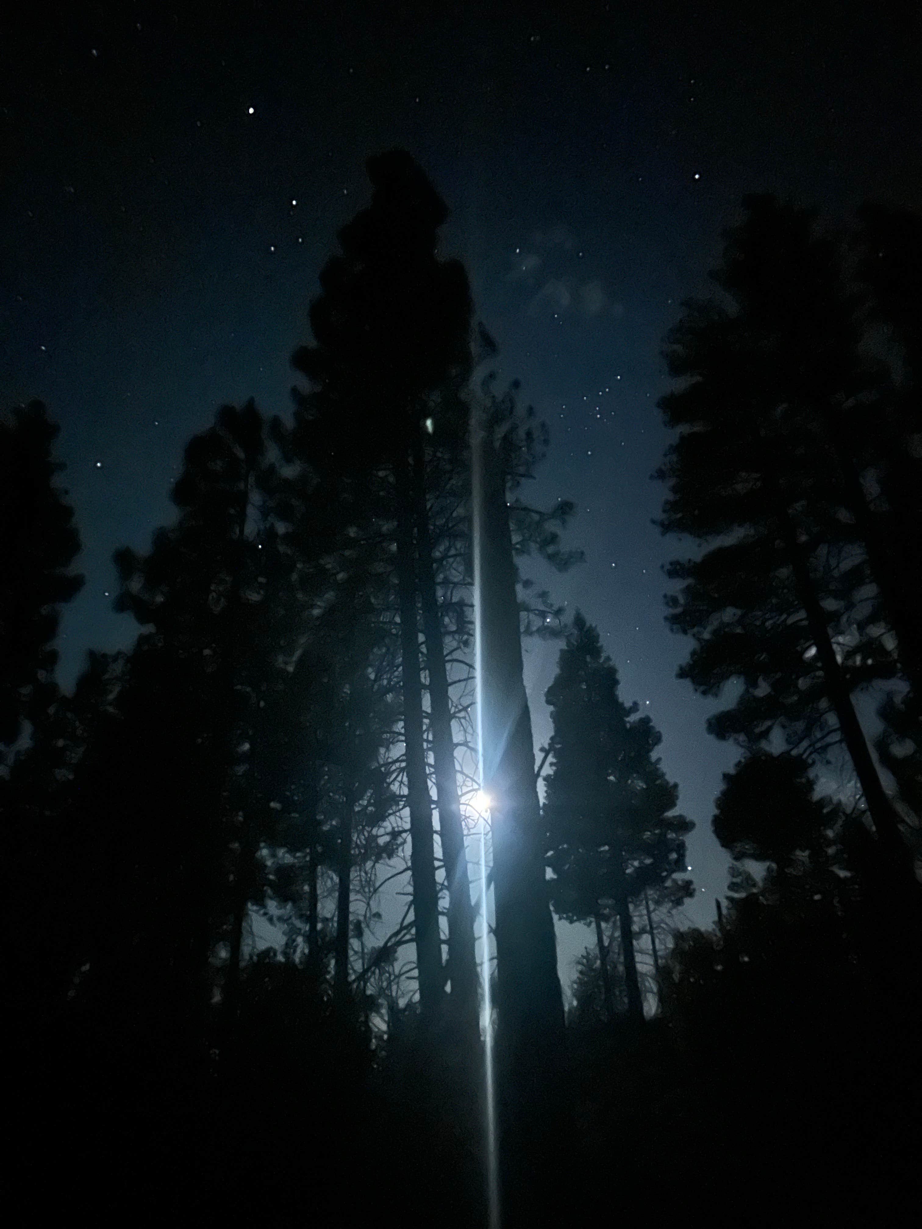 Camper submitted image from Evergreen Rd Dispersed camping - 2