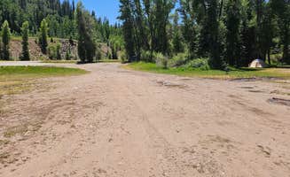 johny R.'s photo of a dispersed camping area at Ewing Gulch on Dolores River near Mesa Verde National Park