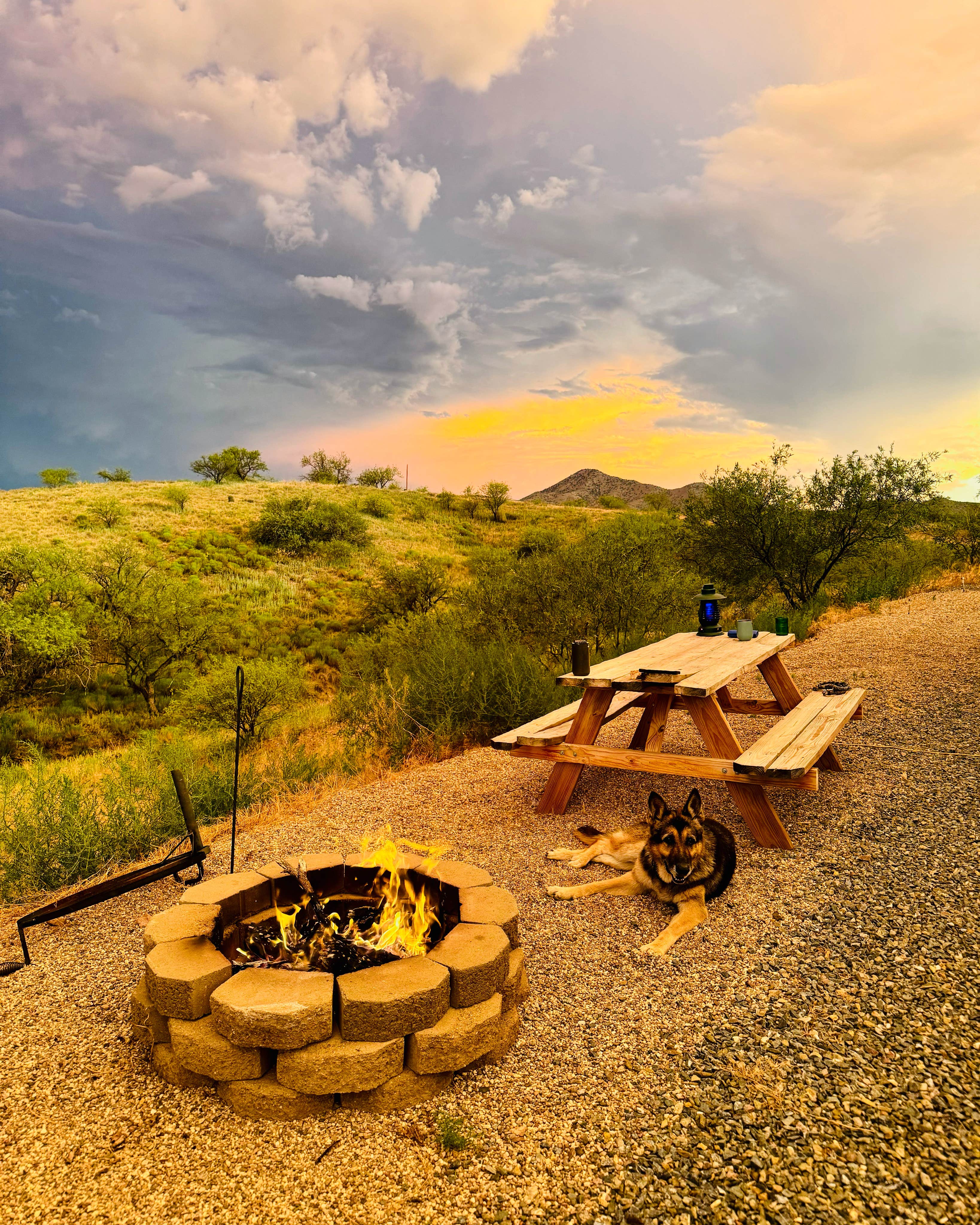 Claudia W.'s photo of camping with pets at Exception Ranch near Topawa, AZ