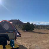 Review photo of Exit 131 Dispersed Camping by Andrew S., May 30, 2024
