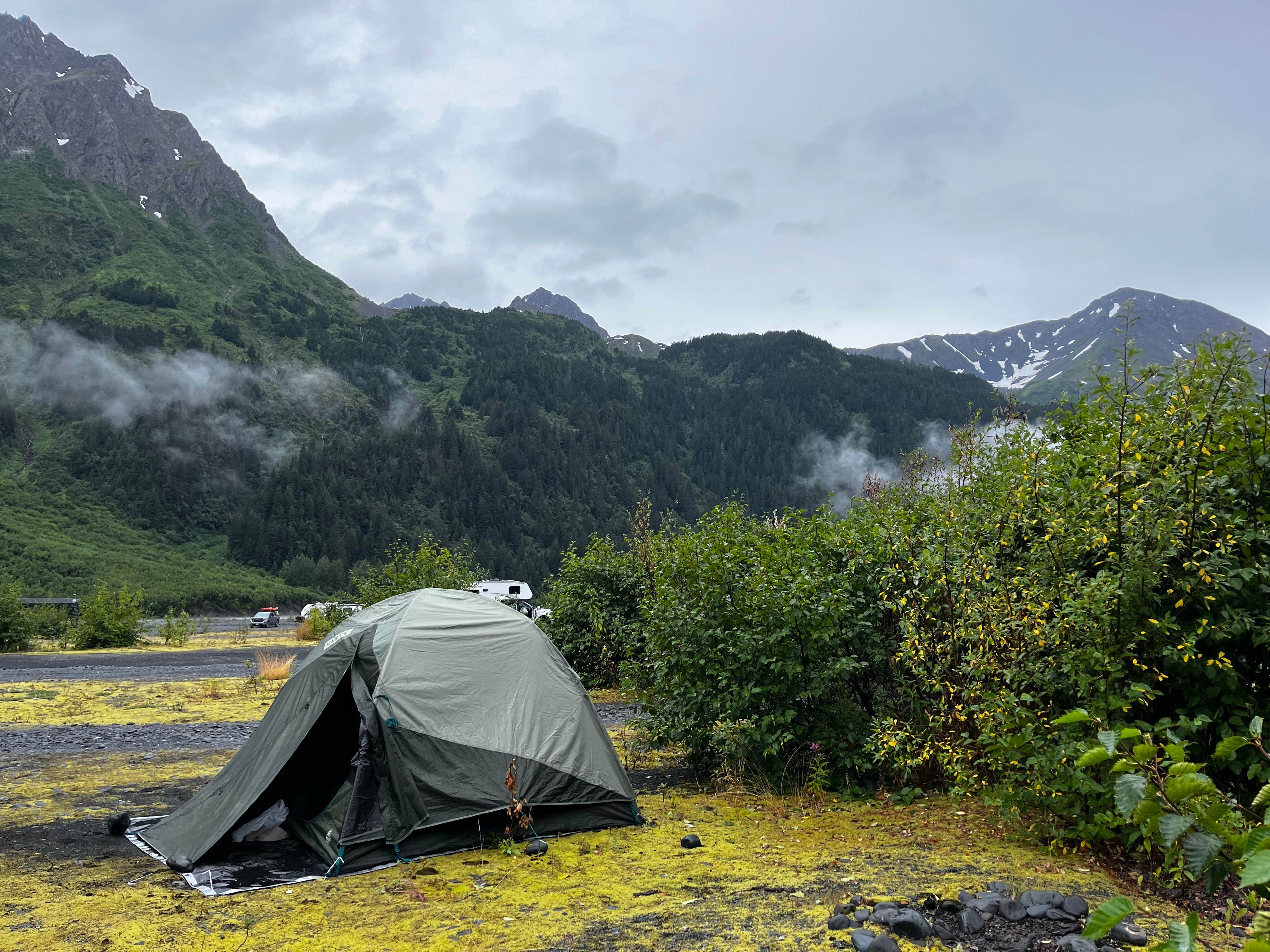 Camper submitted image from Exit Glacier Road Designated Special Use Area - 1