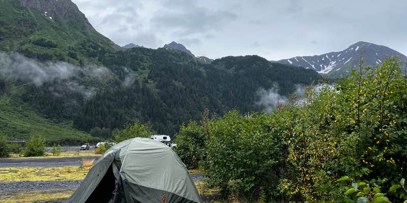 Camper submitted image from Exit Glacier Road Designated Special Use Area
