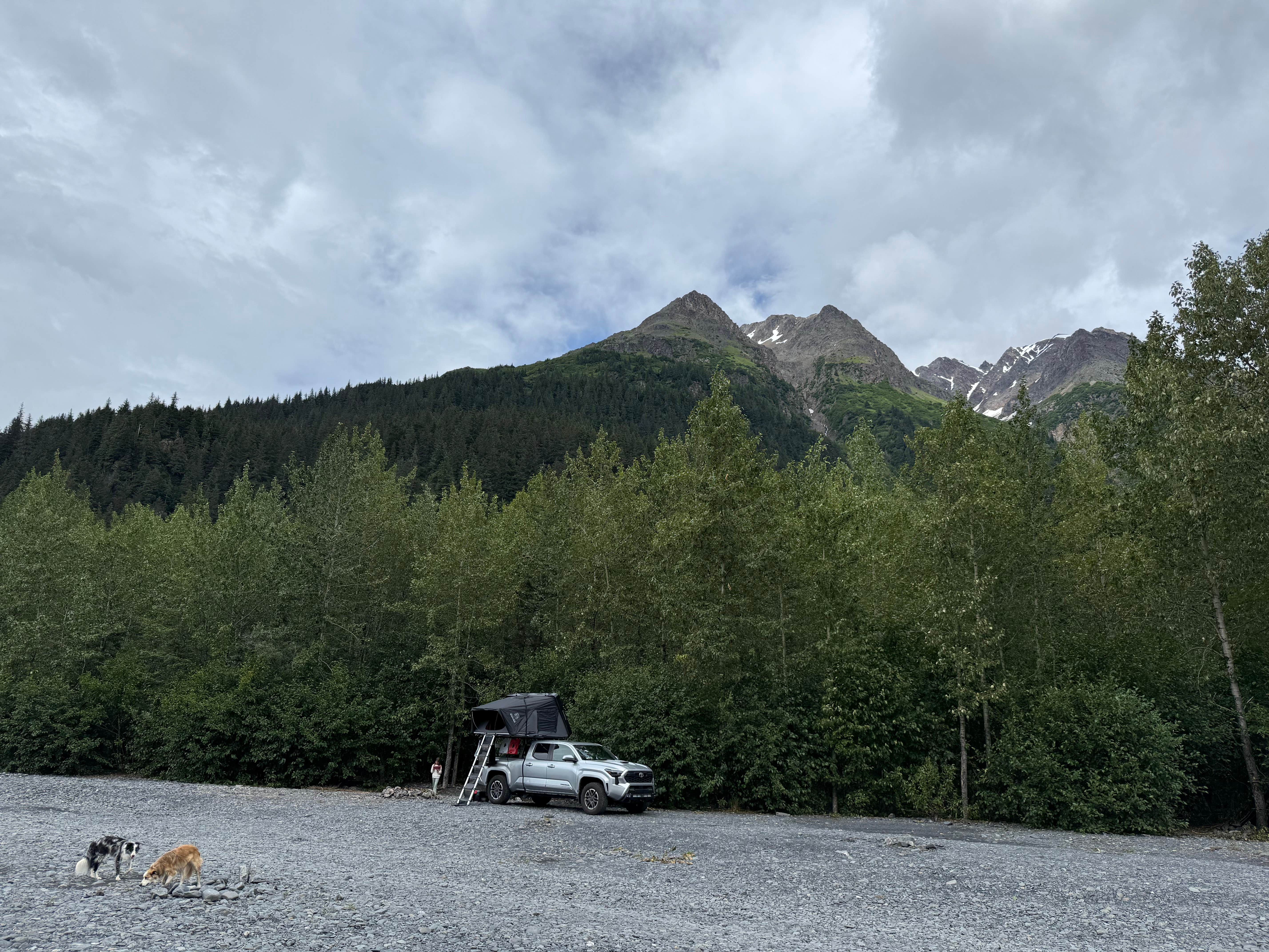 Brian J.'s photo of camping with pets at Exit Glacier Road Designated Special Use Area near Cooper Landing, AK