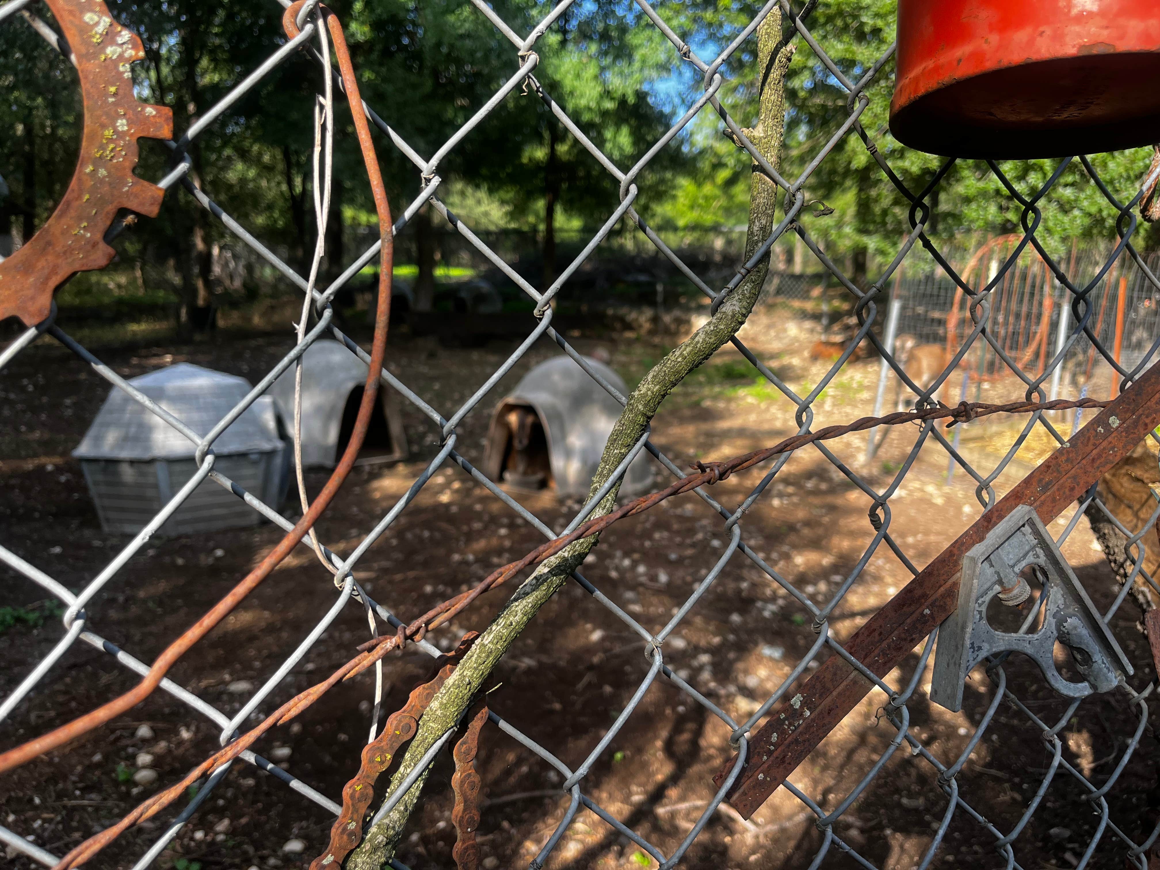 Camper-submitted photo at EZ Kamp near Culver, IN