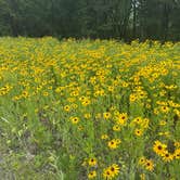 Review photo of F. W. Kent Park by Kathy B., June 26, 2026