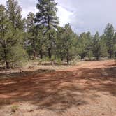 Review photo of F328 dispersed camping spot by Jahro M., July 7, 2025