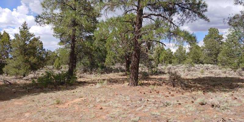 Camper submitted image from F328 dispersed camping spot