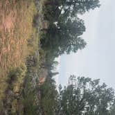 Review photo of F328 dispersed camping spot by Tanner P., October 17, 2026