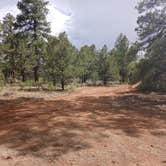 Review photo of F328 dispersed camping spot by Jahro M., July 7, 2025