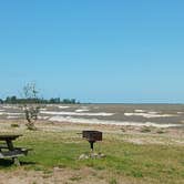 Review photo of Drumlin A Camping Area — Fair Haven Beach State Park by Carl G., October 2, 2023