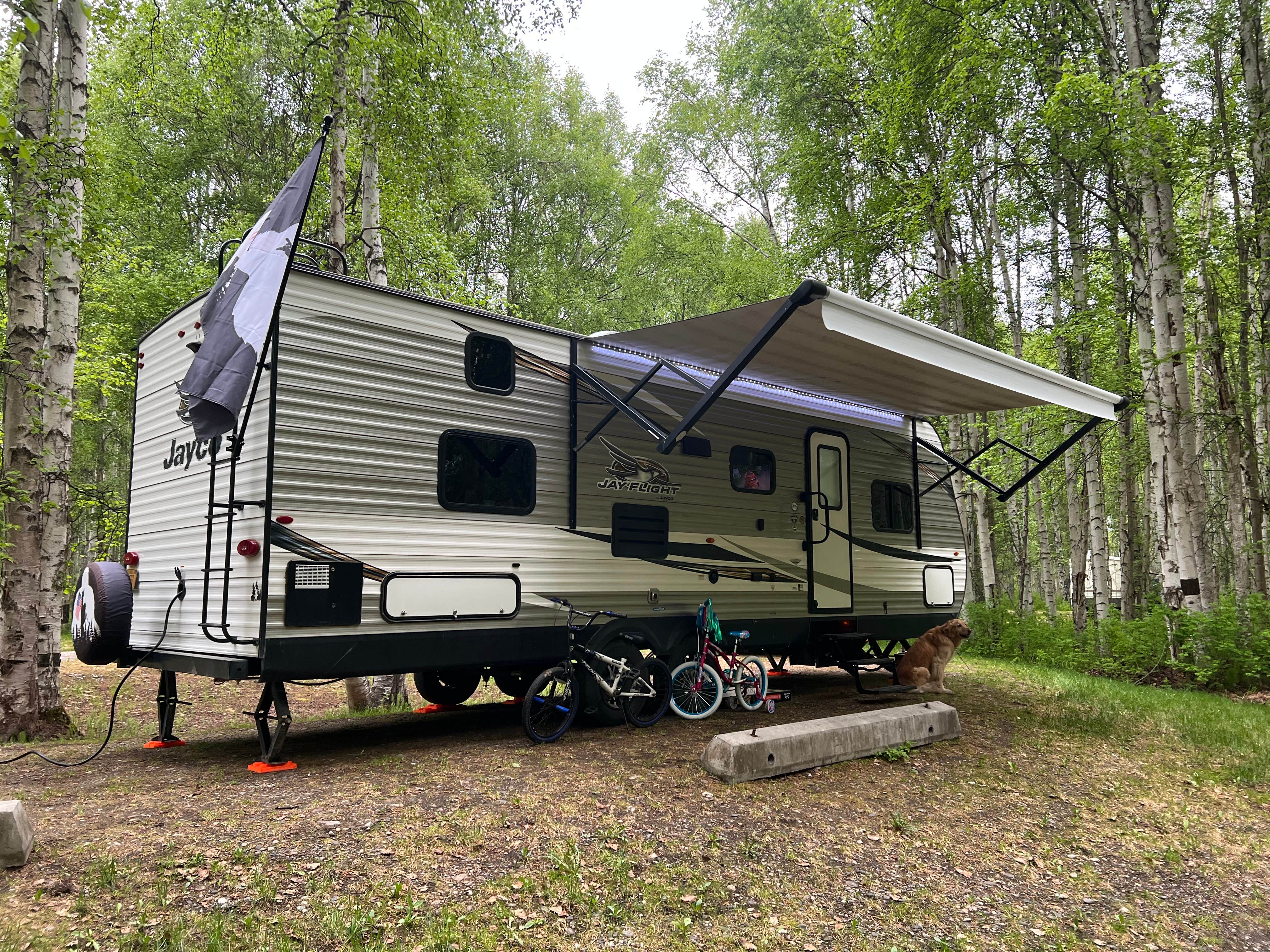 Wes F.'s photo of camping with pets at Chena Lake Recreation Area near Eielson AFB, AK