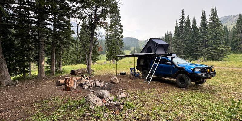Camper submitted image from Fairy Lake Dispersed Camping