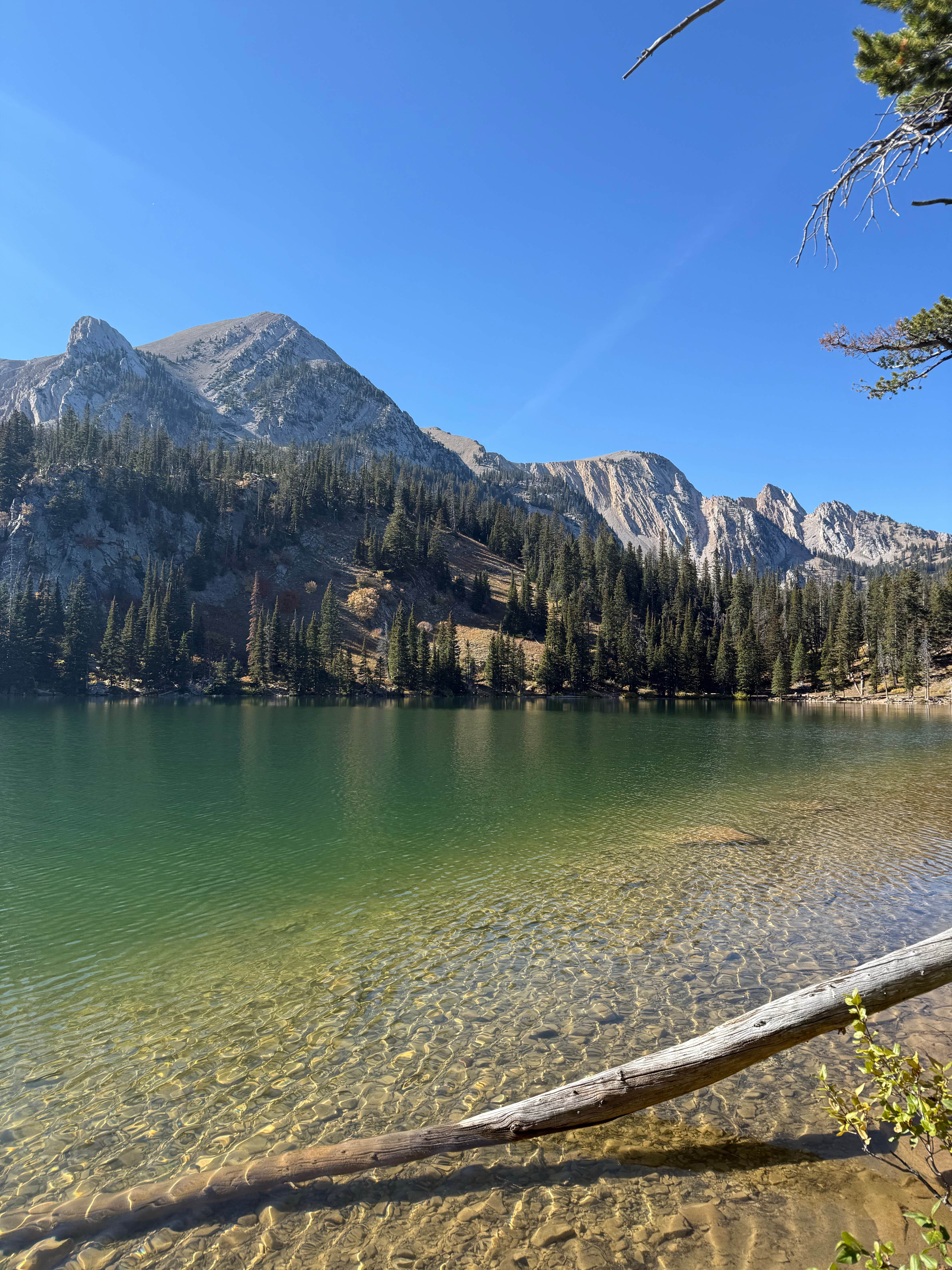 Ariana N.'s photo of a dispersed camping area at Fairy Lake Dispersed Camping near Livingston, MT