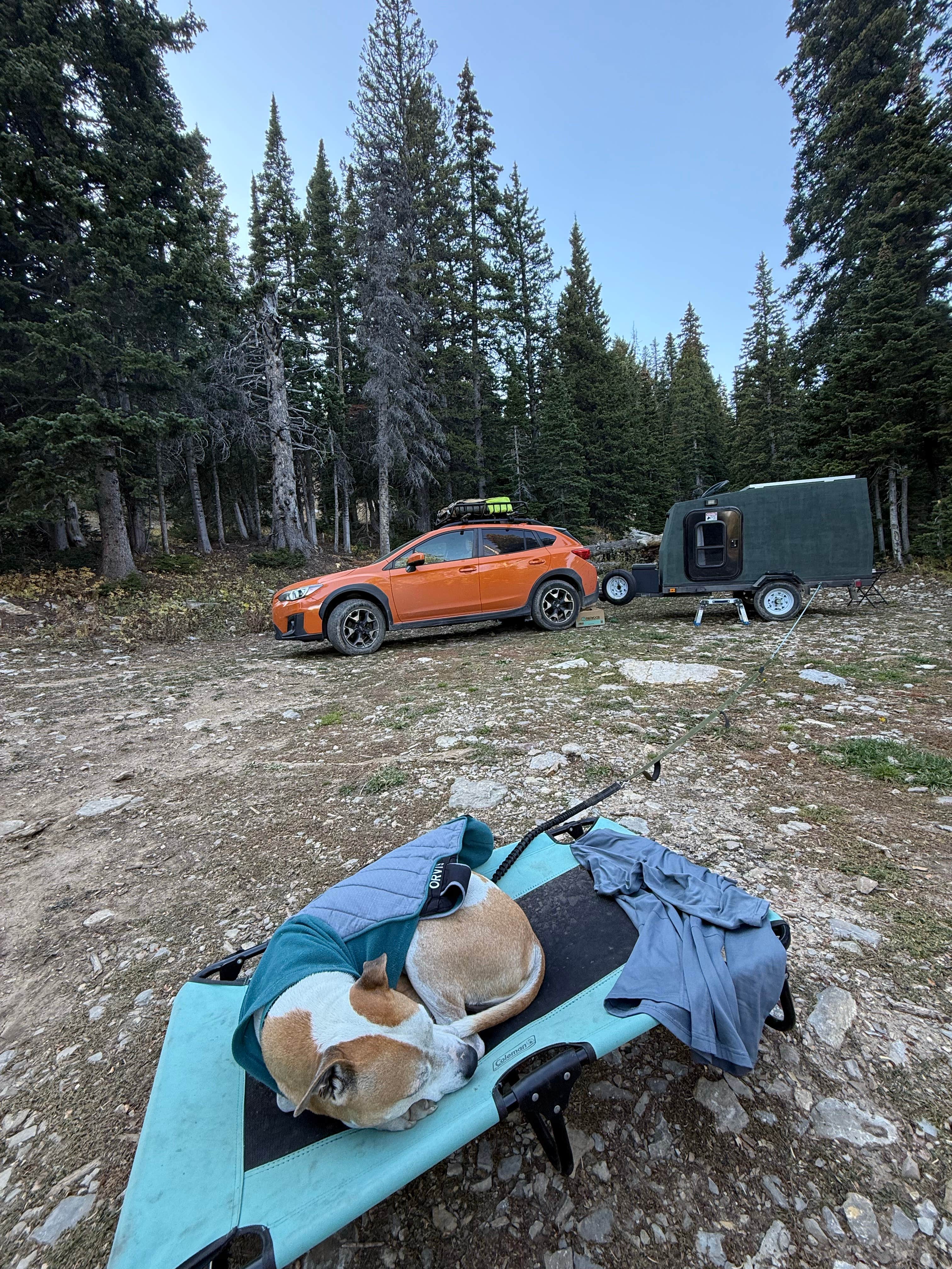 Camper submitted image from Fairy Lake Dispersed Camping - 4