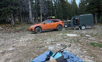 Ariana N.'s photo of tent camping at Fairy Lake Dispersed Camping near Emigrant, MT