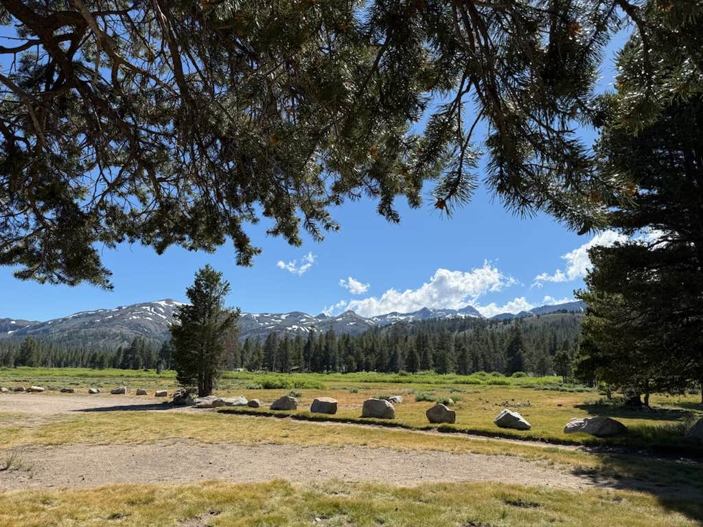 Camper-submitted photo at Faith Valley campground near Genoa, NV
