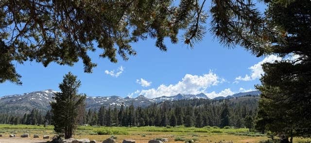 Camper-submitted photo at Faith Valley campground near Genoa, NV