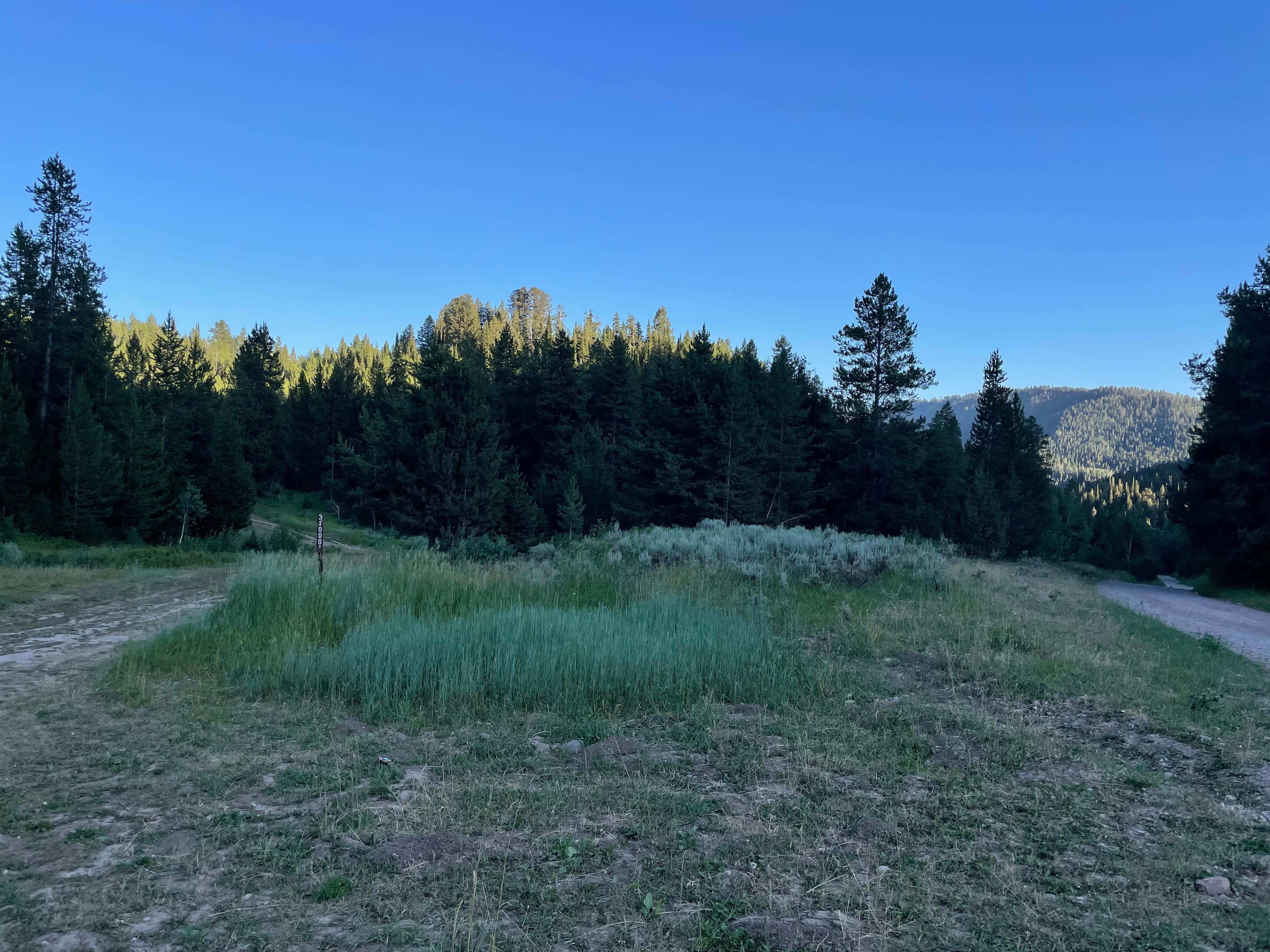 Camper-submitted photo at Fall Creek Road - Dispersed near Wilson, WY