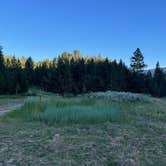 Review photo of Fall Creek Road - Dispersed by Sharon H., July 11, 2025