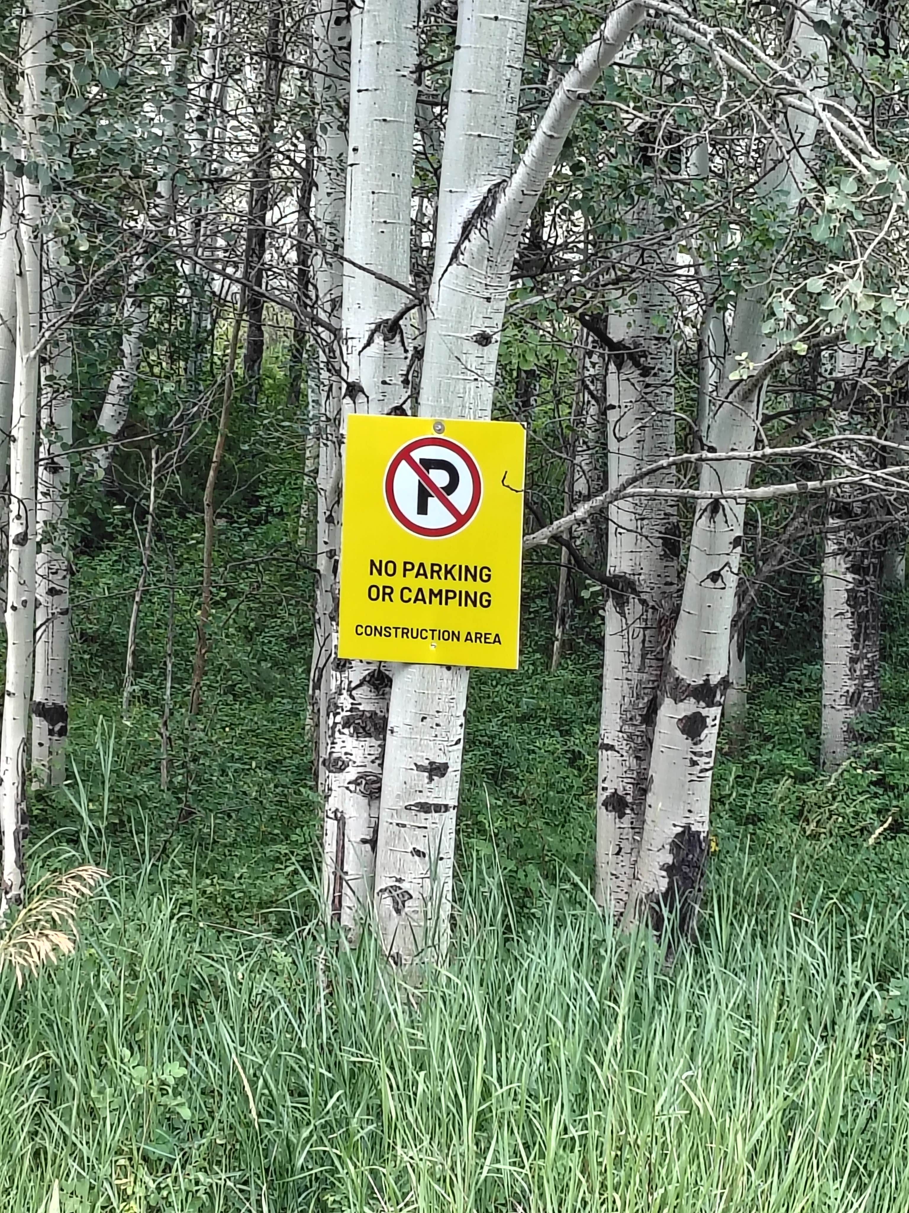 Camper-submitted photo at Fall Creek Road - Dispersed near Bridger-Teton National Forest