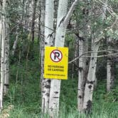 Review photo of Fall Creek Road - Dispersed by Travis A., July 31, 2026