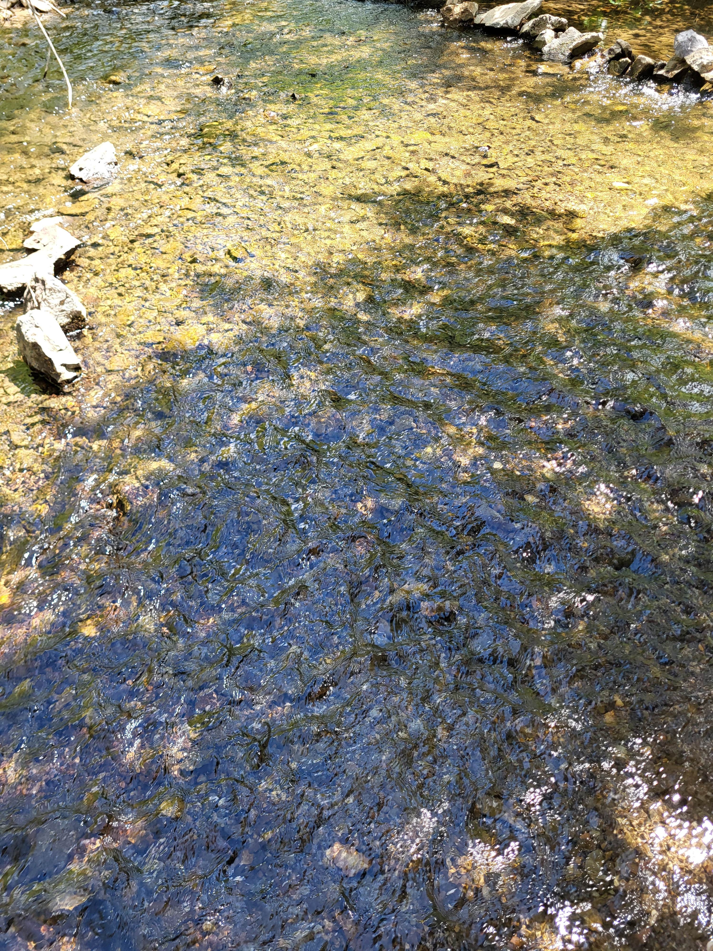 Camper-submitted photo at Fall Creek dispersed near Blackfoot, ID