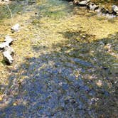 Review photo of Fall Creek dispersed by Rick W., July 10, 2025