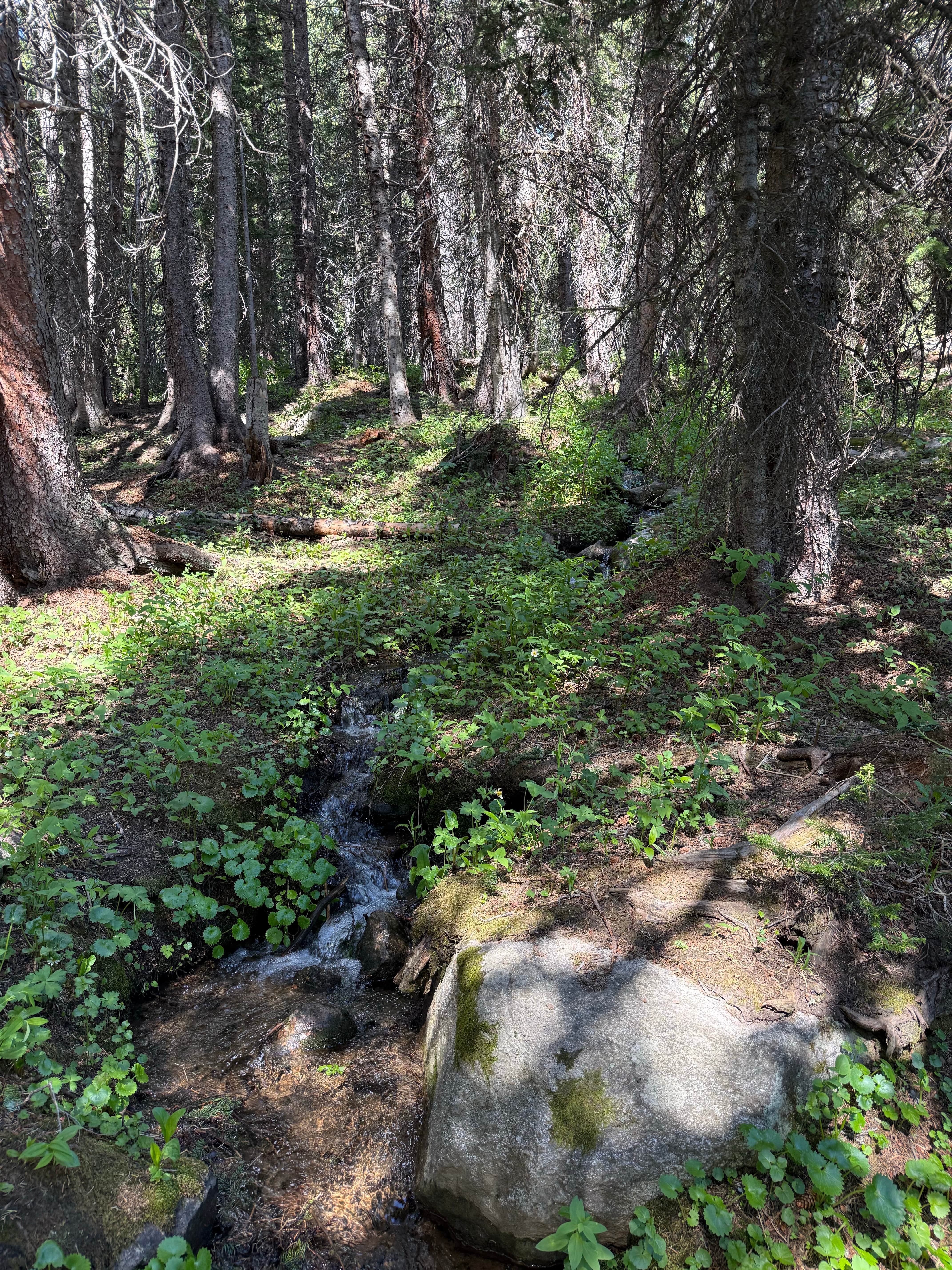 Camper-submitted photo at Fall River reservoir near Empire, CO