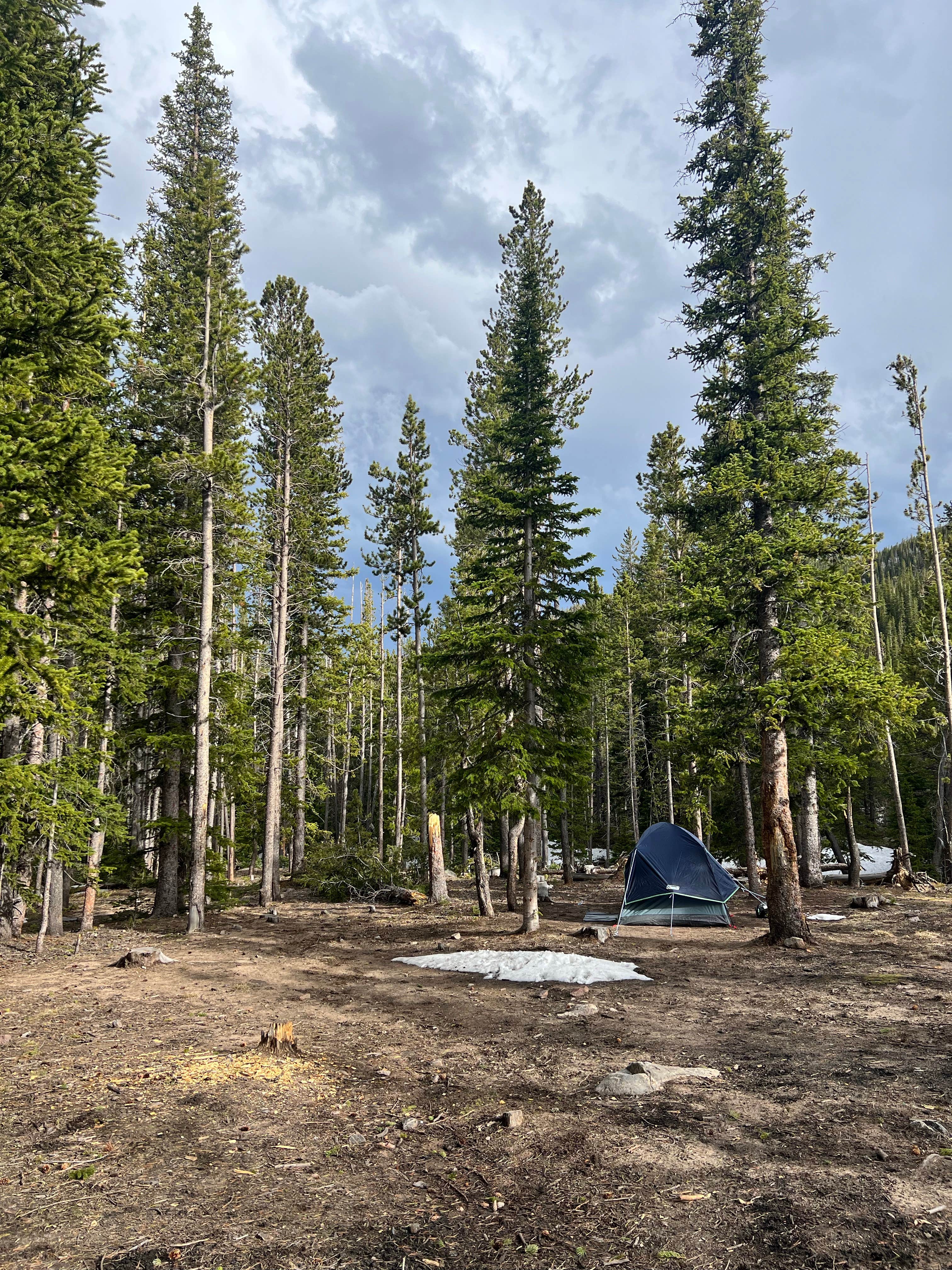 Fall River Reservoir Dispersed Camping Trail